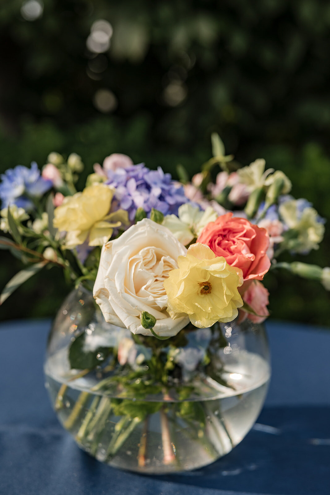 Asher-Wedding_AJV (592)_websize