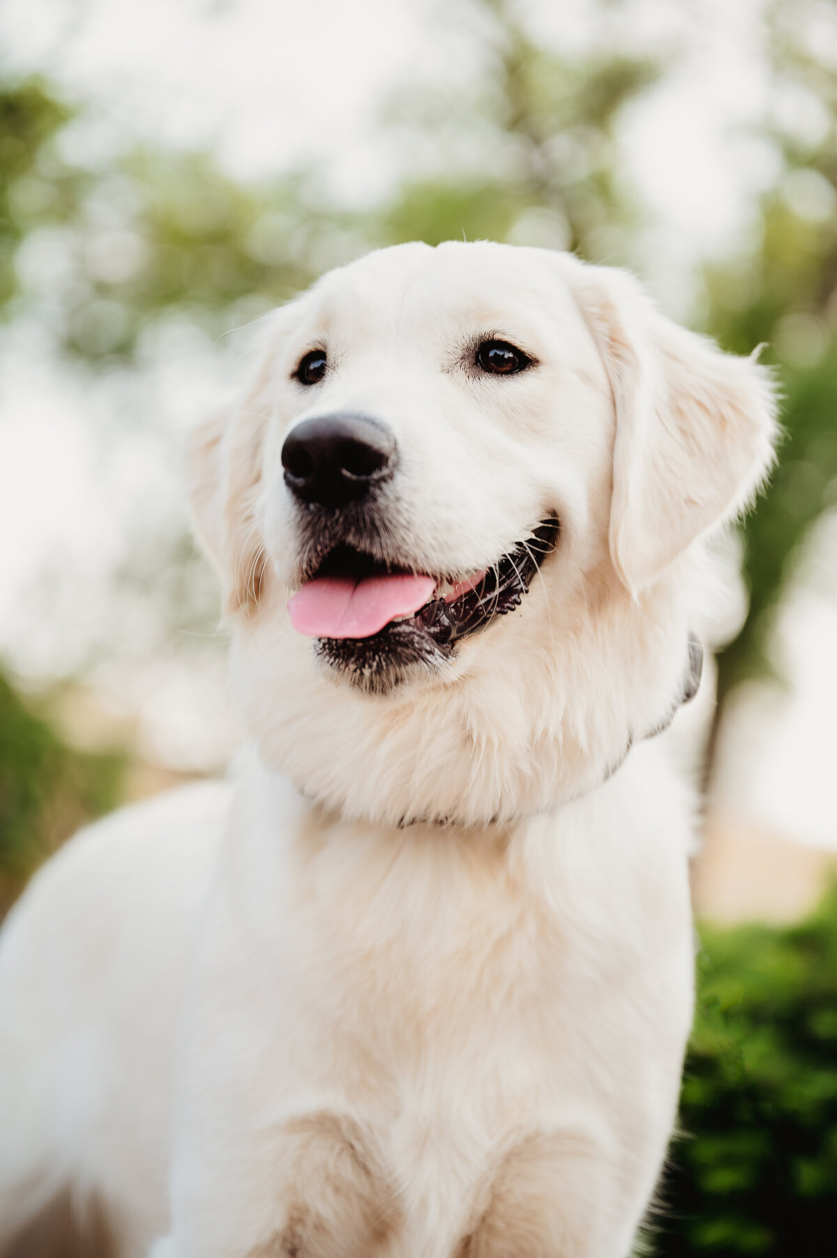 TeresaT_Spring2025_055