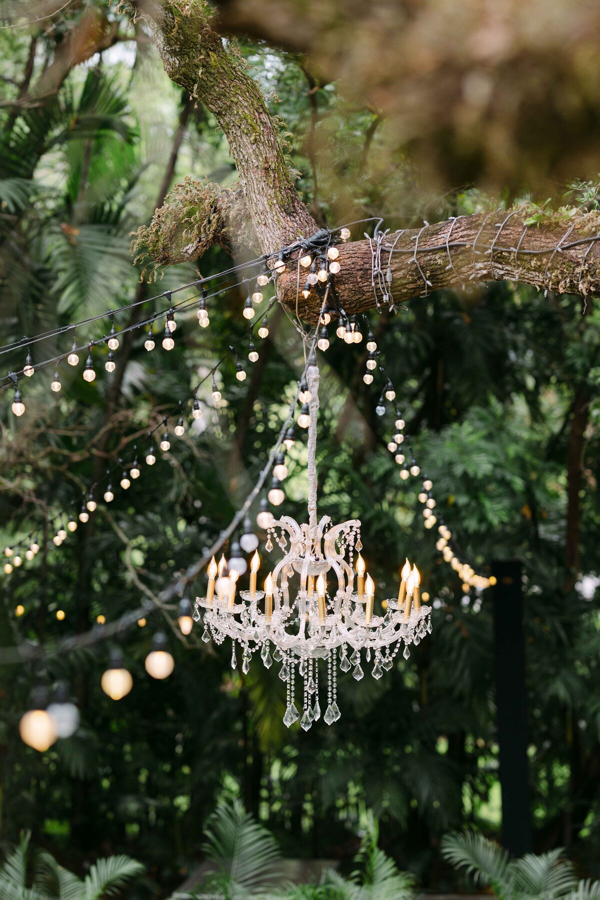 Villa_woodbine_wedding (14)