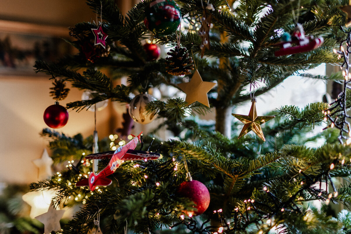 houston-Christmas-mini-sessions-2024-51