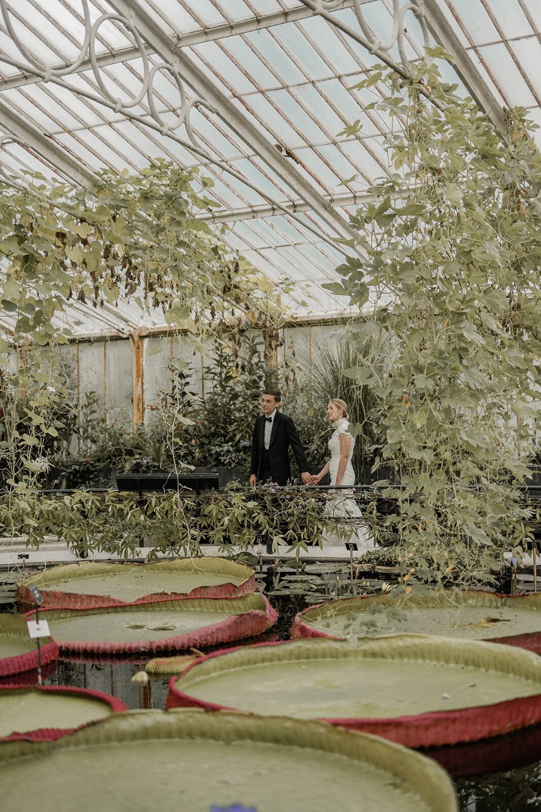 waterlily-house-kew-gardens-wedding-min