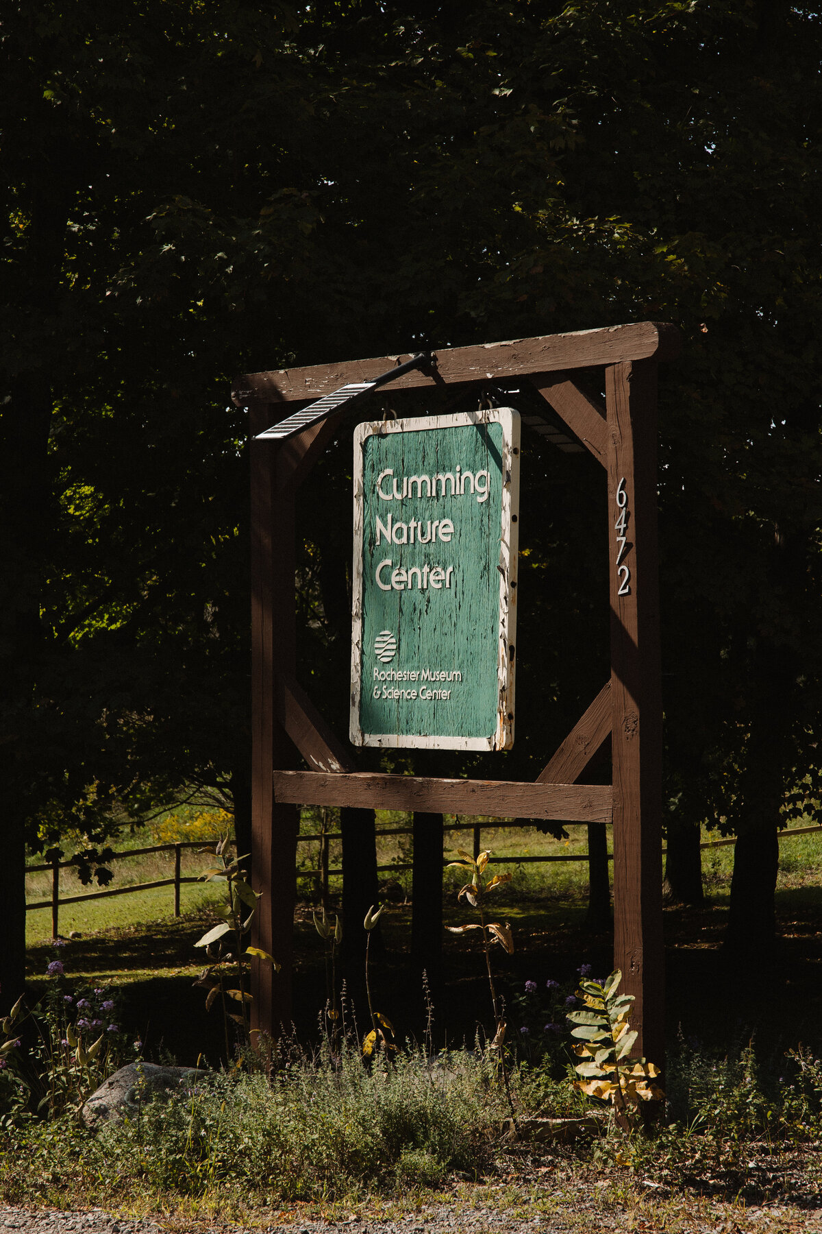 CummingsNatureCenter-26