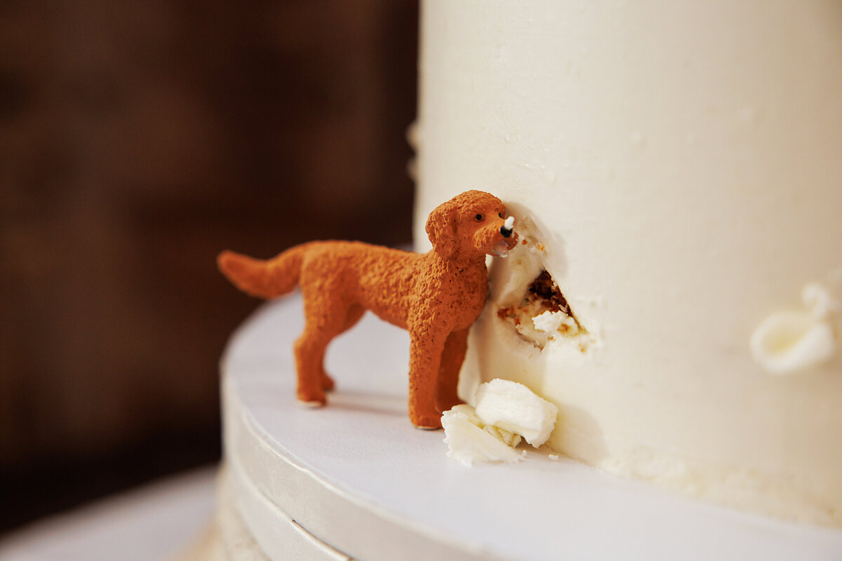 Riley and Nathan Wedding 1293