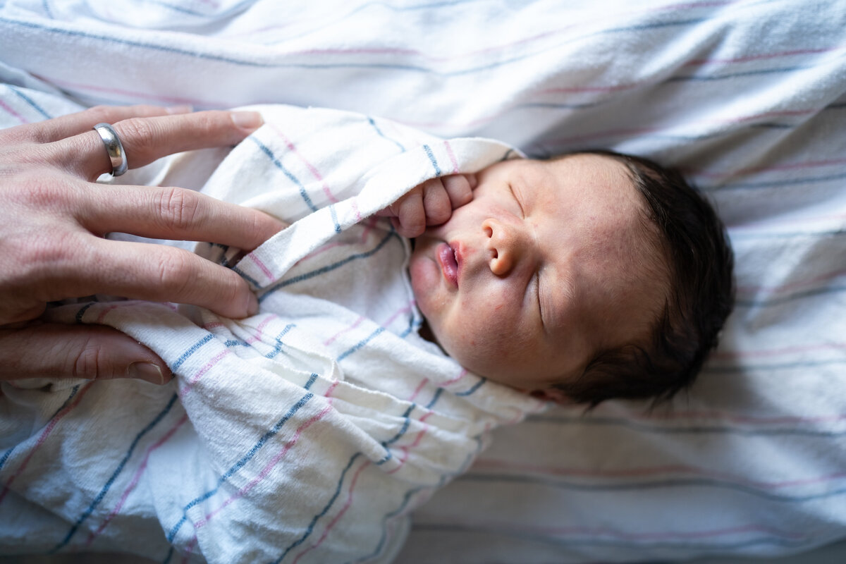 Newborn photographer in Boston area