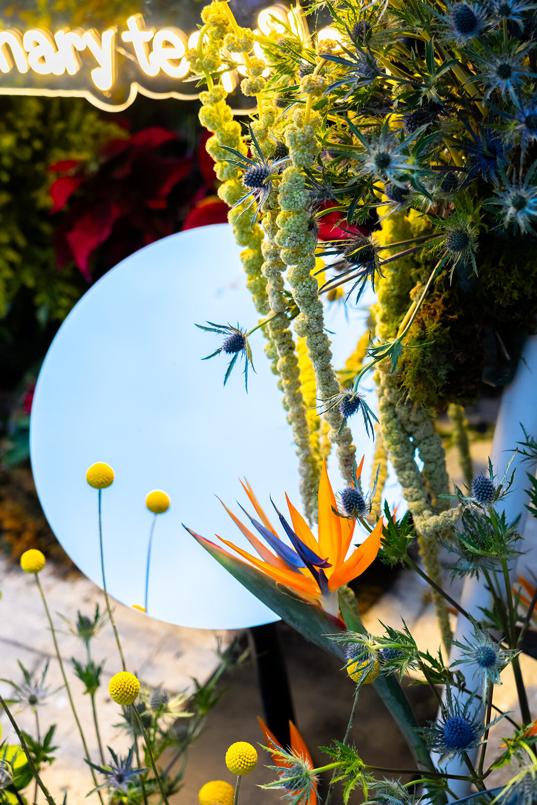 Kammerman-Photography-Events-25