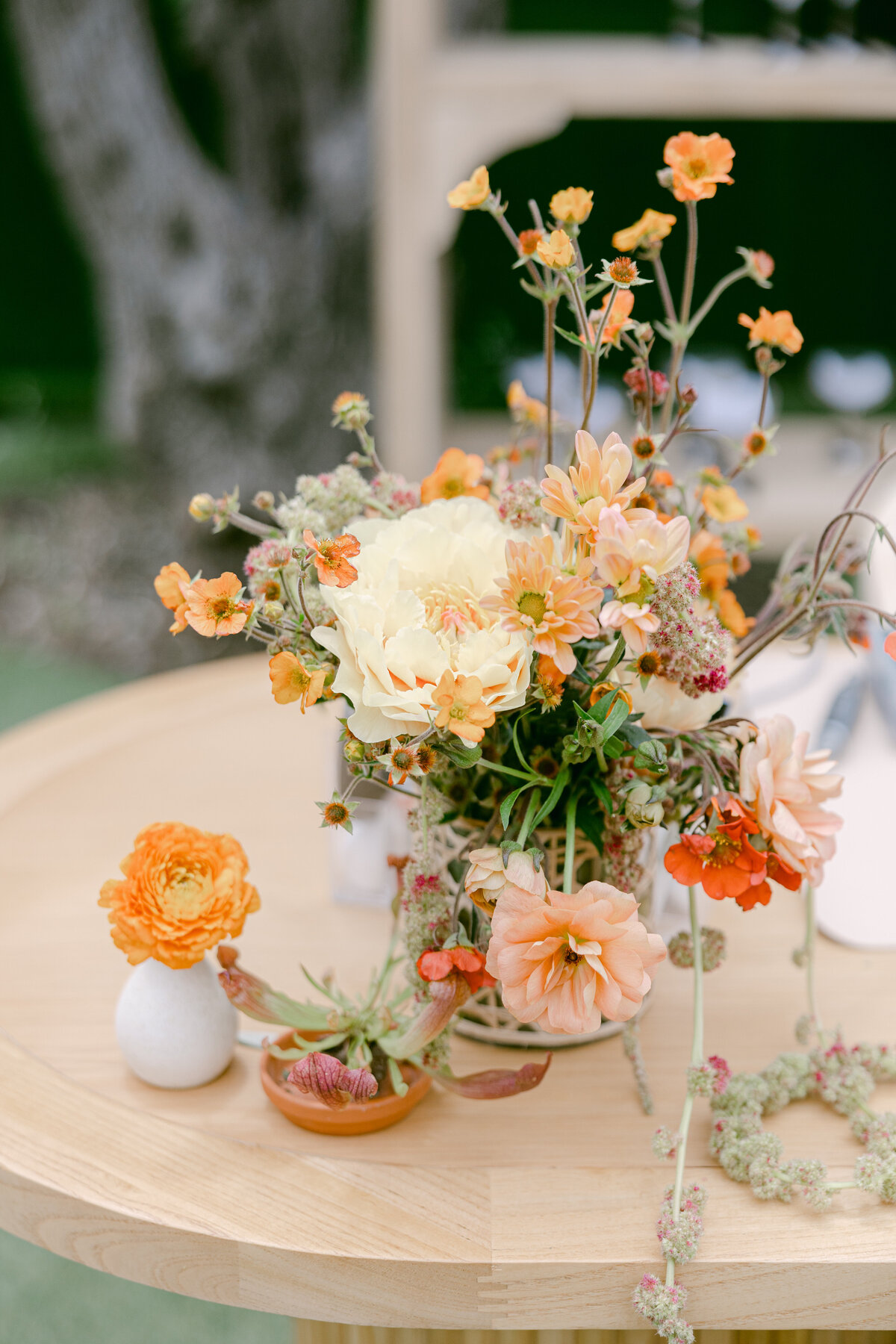 LDPhotography_224