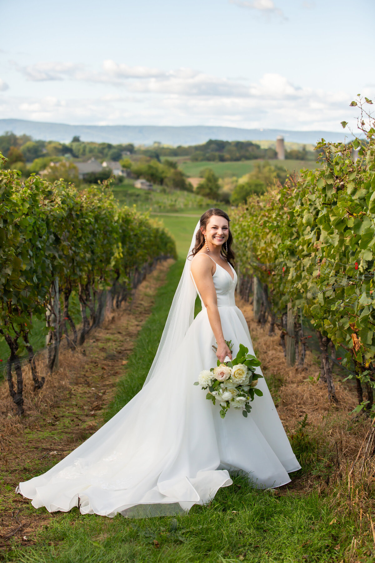 loudoun-studios-wedding-bluemont-blue-valley-vineyards-virginia00005