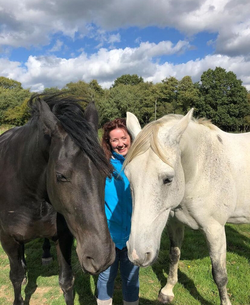 2 x Horse Joy Bunny Love-Schock