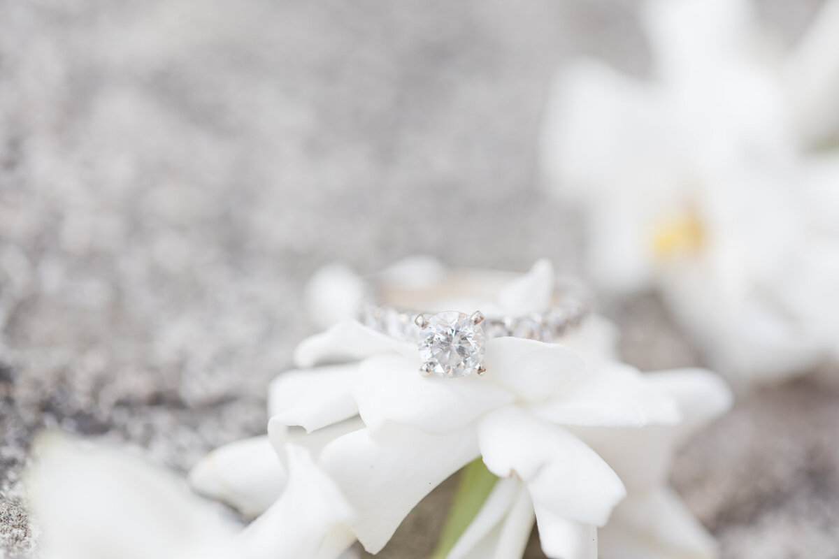 Jennifer B Photography-Josh & Melissa-Engagement-2020-0188