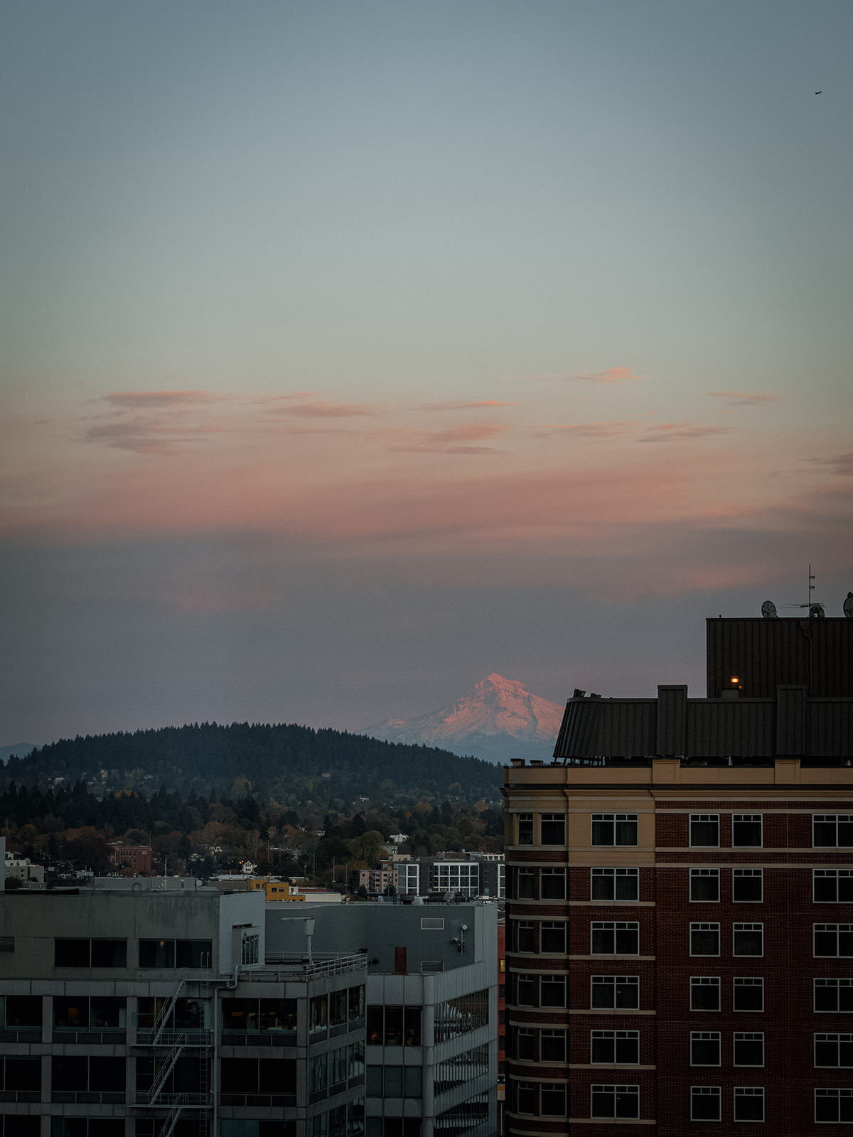 Lea-and-Cole-Portland-Oregon-Wedding-1