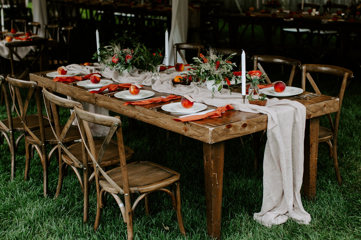 Intimate-Backyard-Wedding-farmhouse-chairs