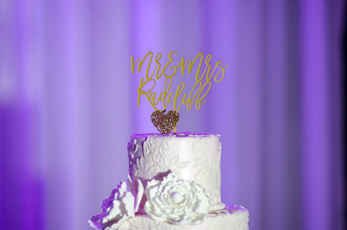 NFL Miami Dolphins Brandon Radcliff ShaKyra Radcliff Briza on the Bay Wedding Andrea Arostegui Photography-235