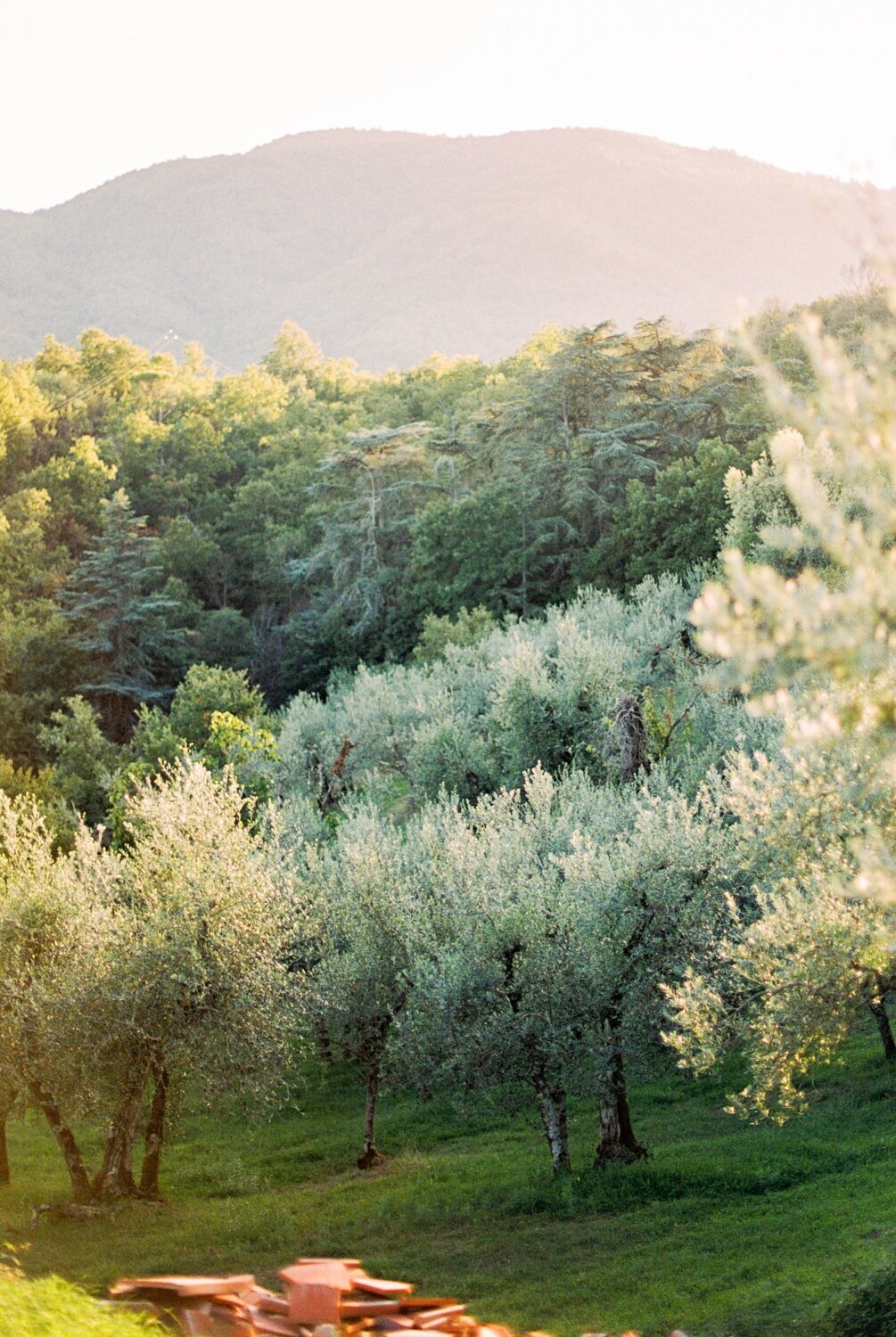 castello-pratelli-tuscany-destination-wedding-film-analog-stefano-degirmenci_0010