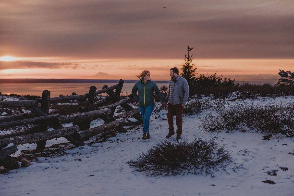 87AlaskaMountain EngagementGlen Alps