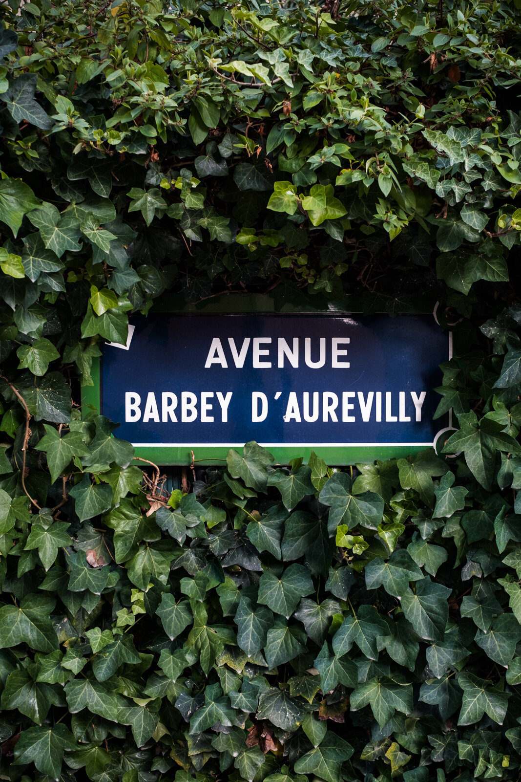 paris-danielle-motif-11