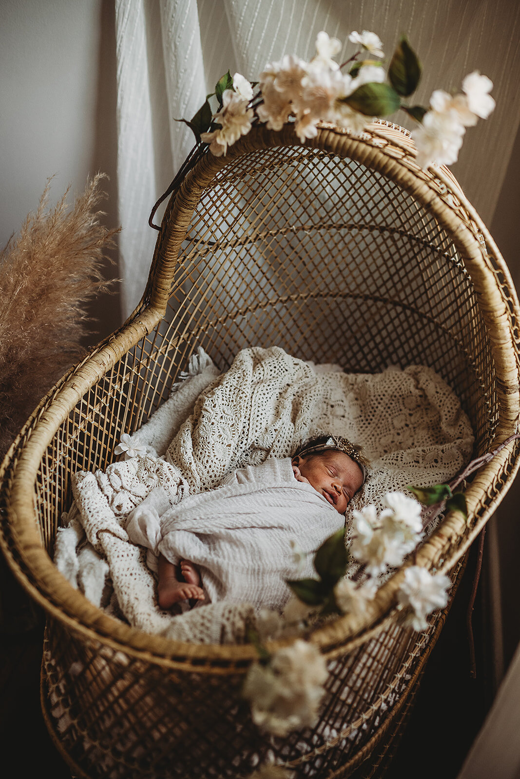 Maryland Newborn Photographer
