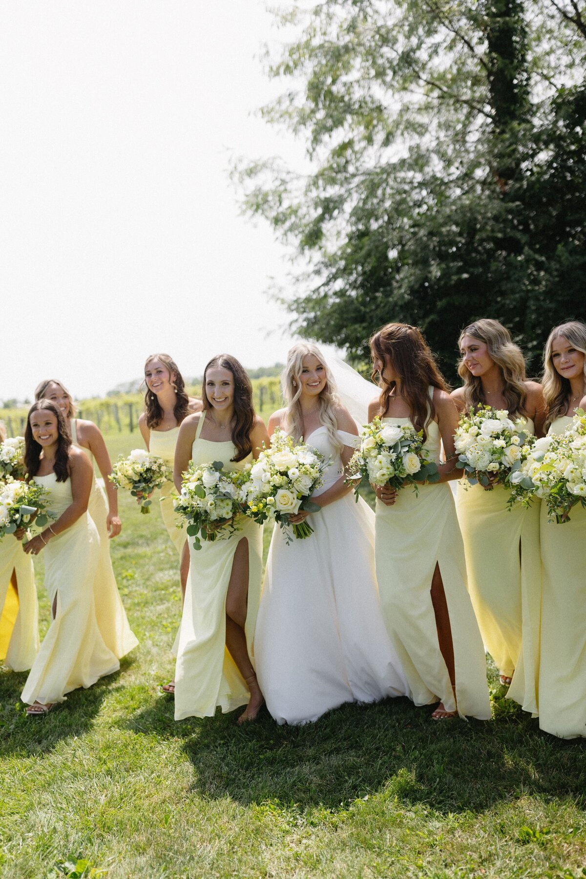 Daniel's Vineyard Yellow Wedding 6