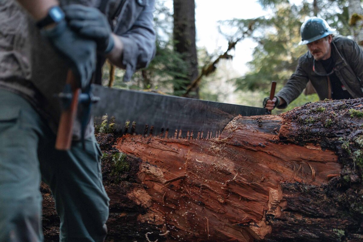 pacific-crest-trail-association-work-crews-hike-20