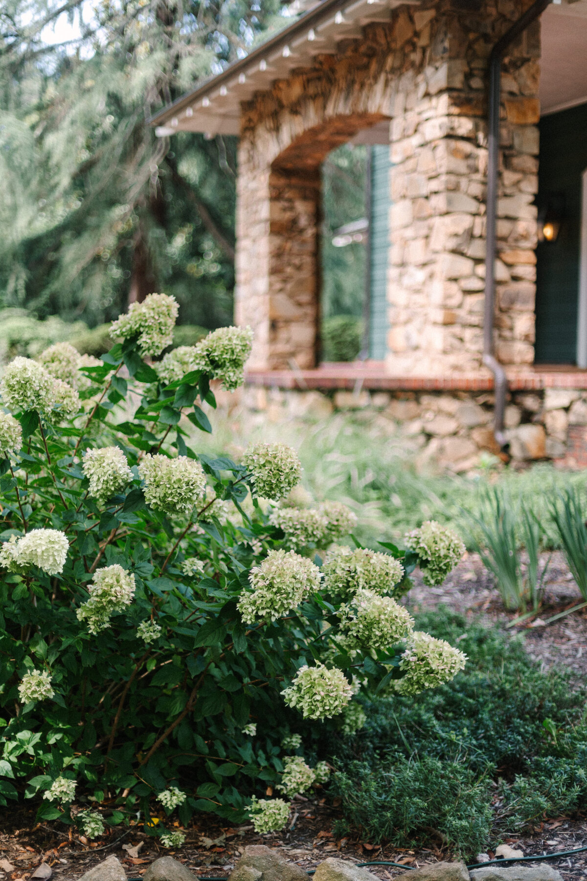 meganpittsphotography-3843