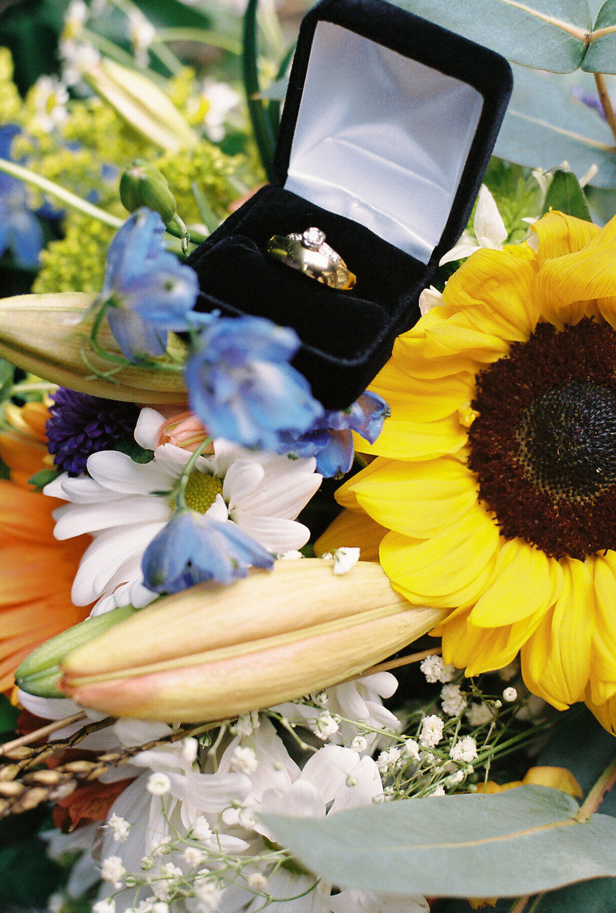 453756009455-R1-015-6