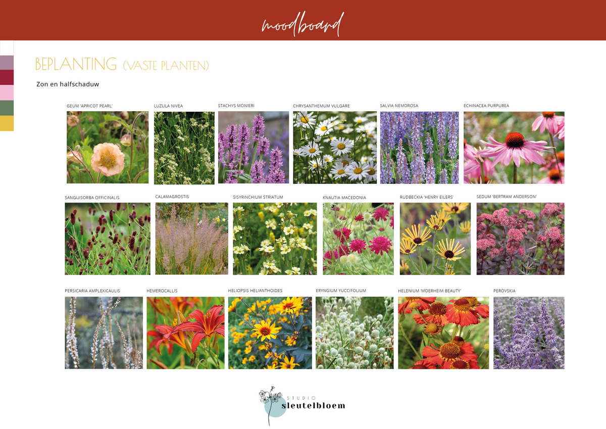 moodboard beplantingsplan