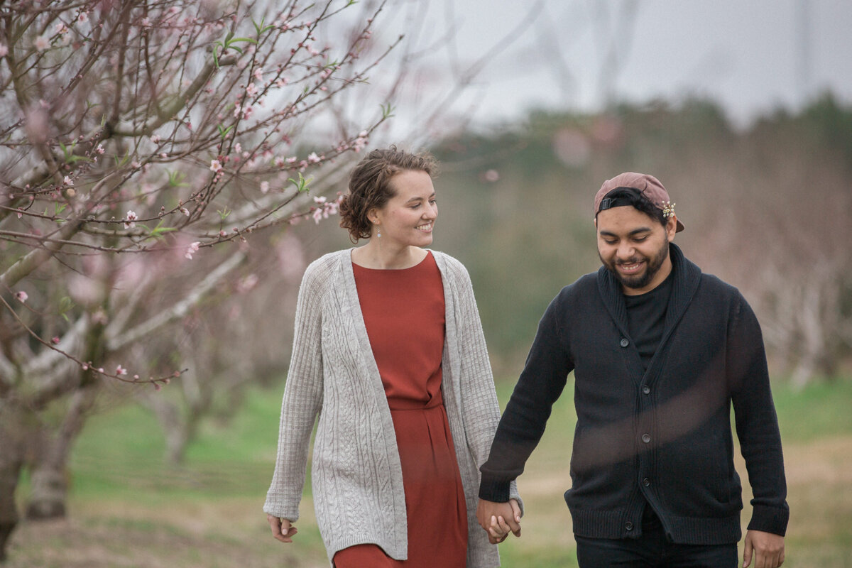 An engaged couple walks in a peach orchard