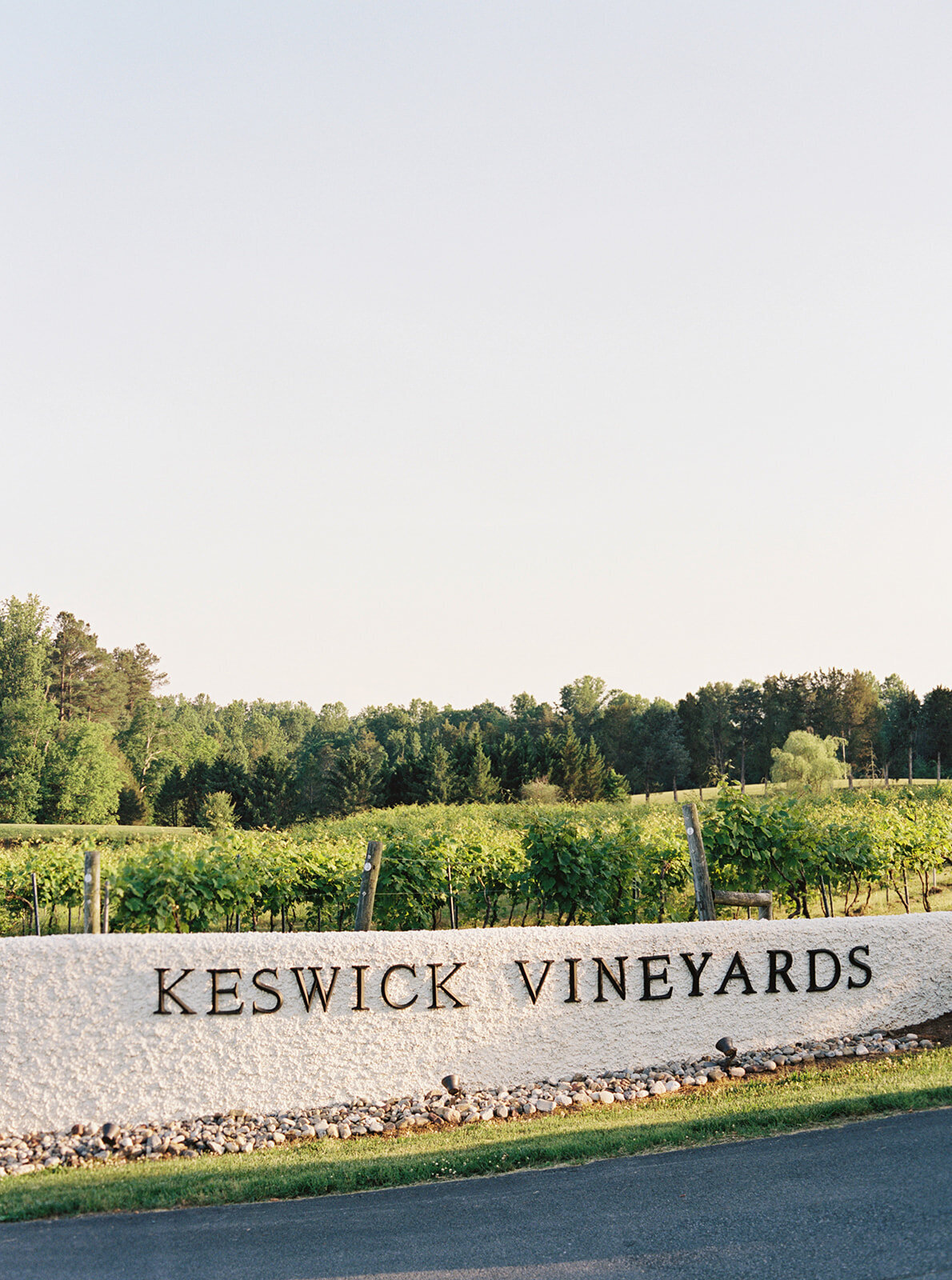 Virginia Wedding Photographer Natalie Jayne Photography-10-6