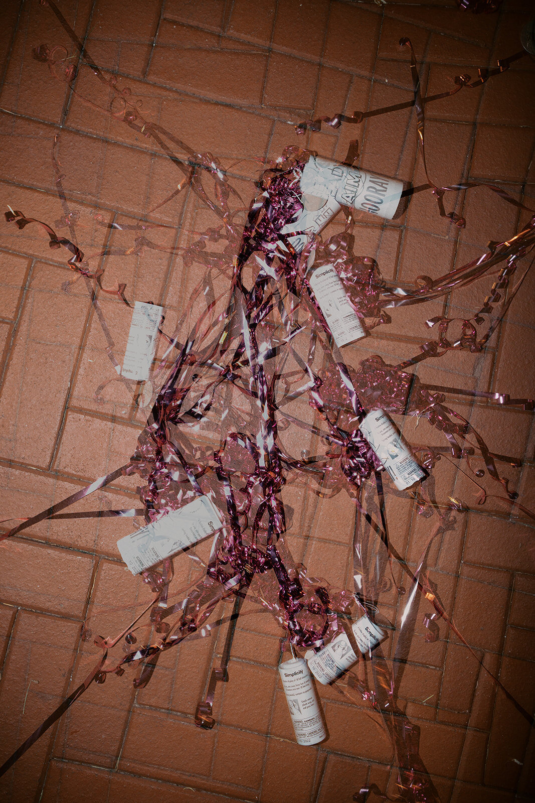 alichr_wed-sne-162_websize