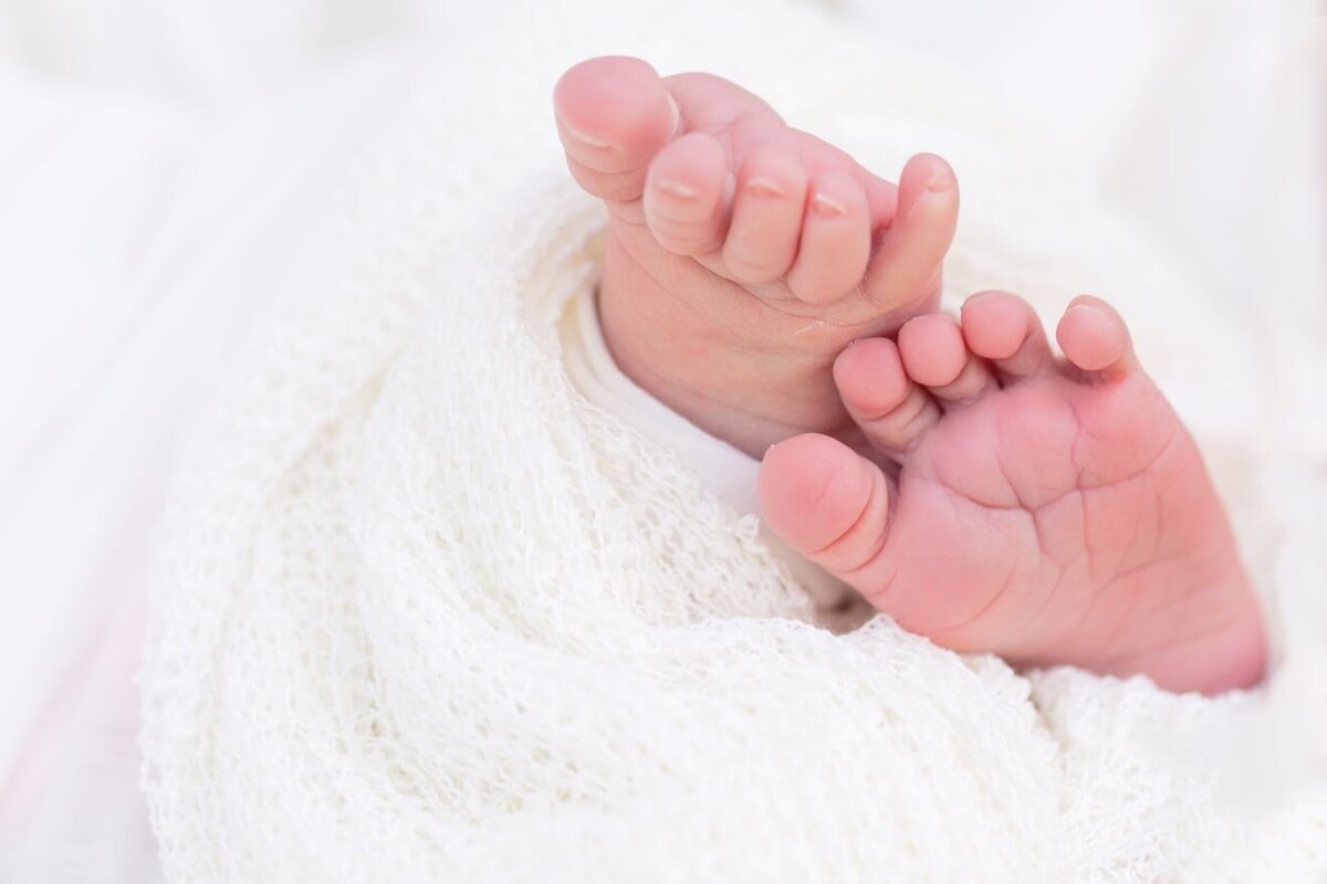 newborn in basket feet detroit photographer