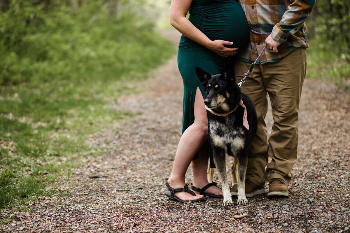 anchorage-maternity-photographer-8