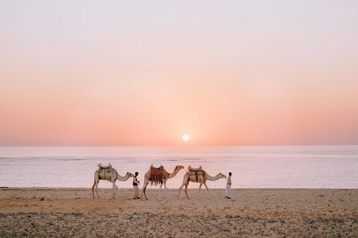 168_egypt_helloemilie
