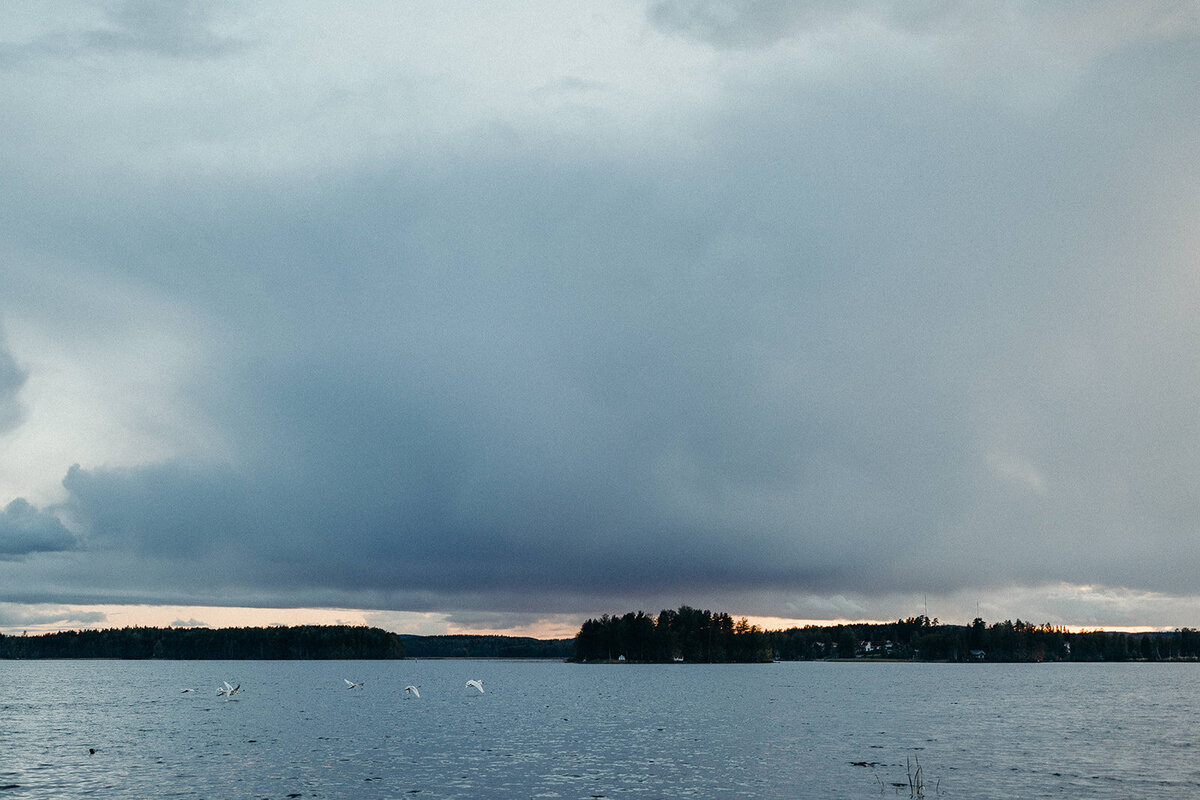 Tiia_Simo_2019-529_websize