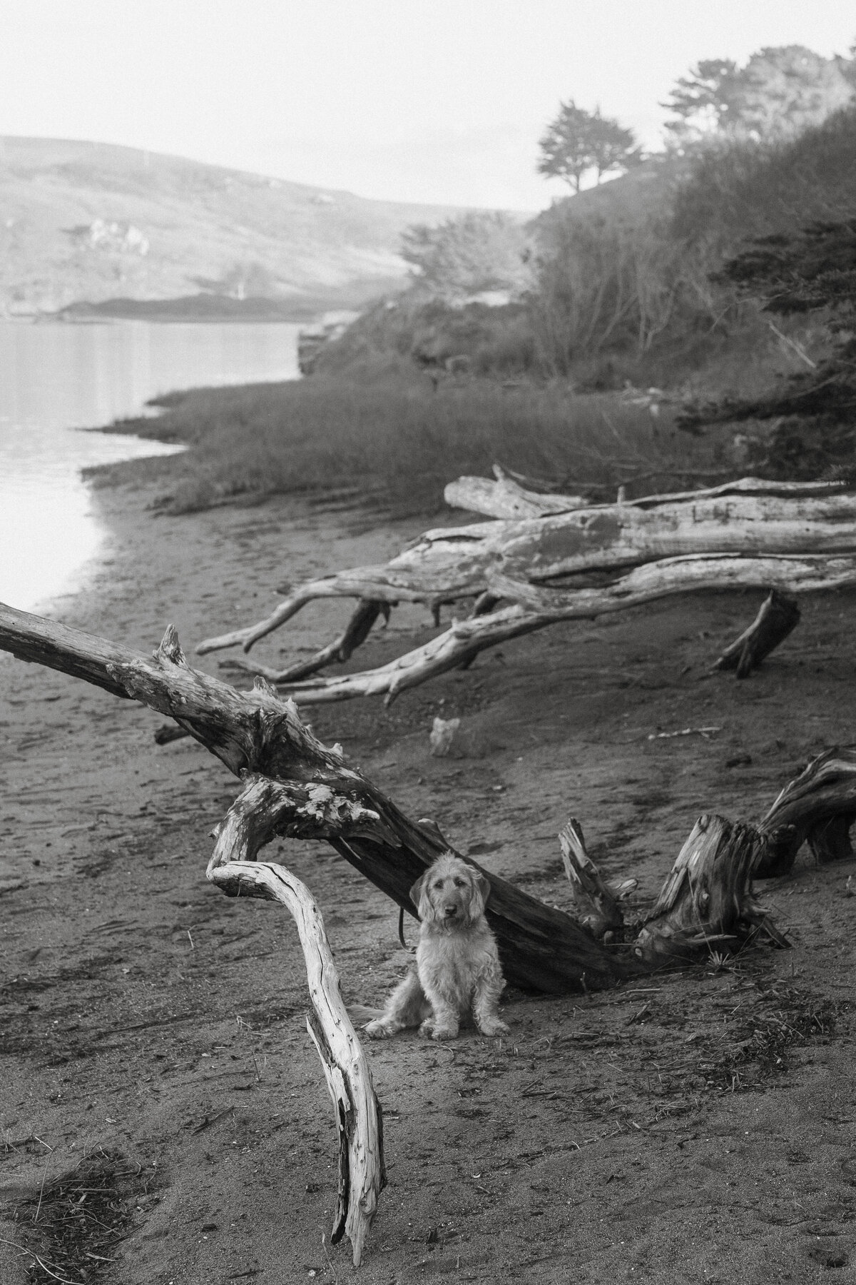 Nas_Adam_Sonoma_Coast-41