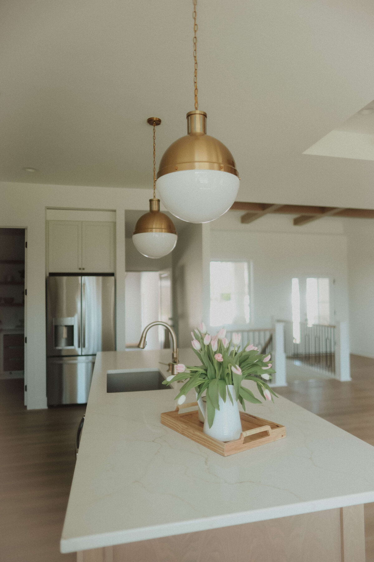 4733-JEANIE-LN-Central-Iowa-Custom-Home-JRL-Builders-3F1A4889