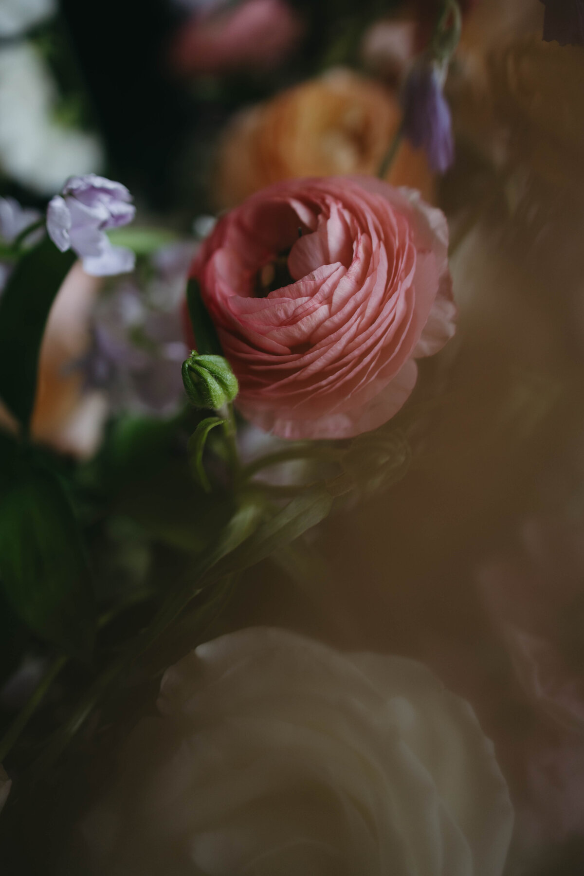 STL - Missouri _ Elegant - Wedding - Portraits (7)