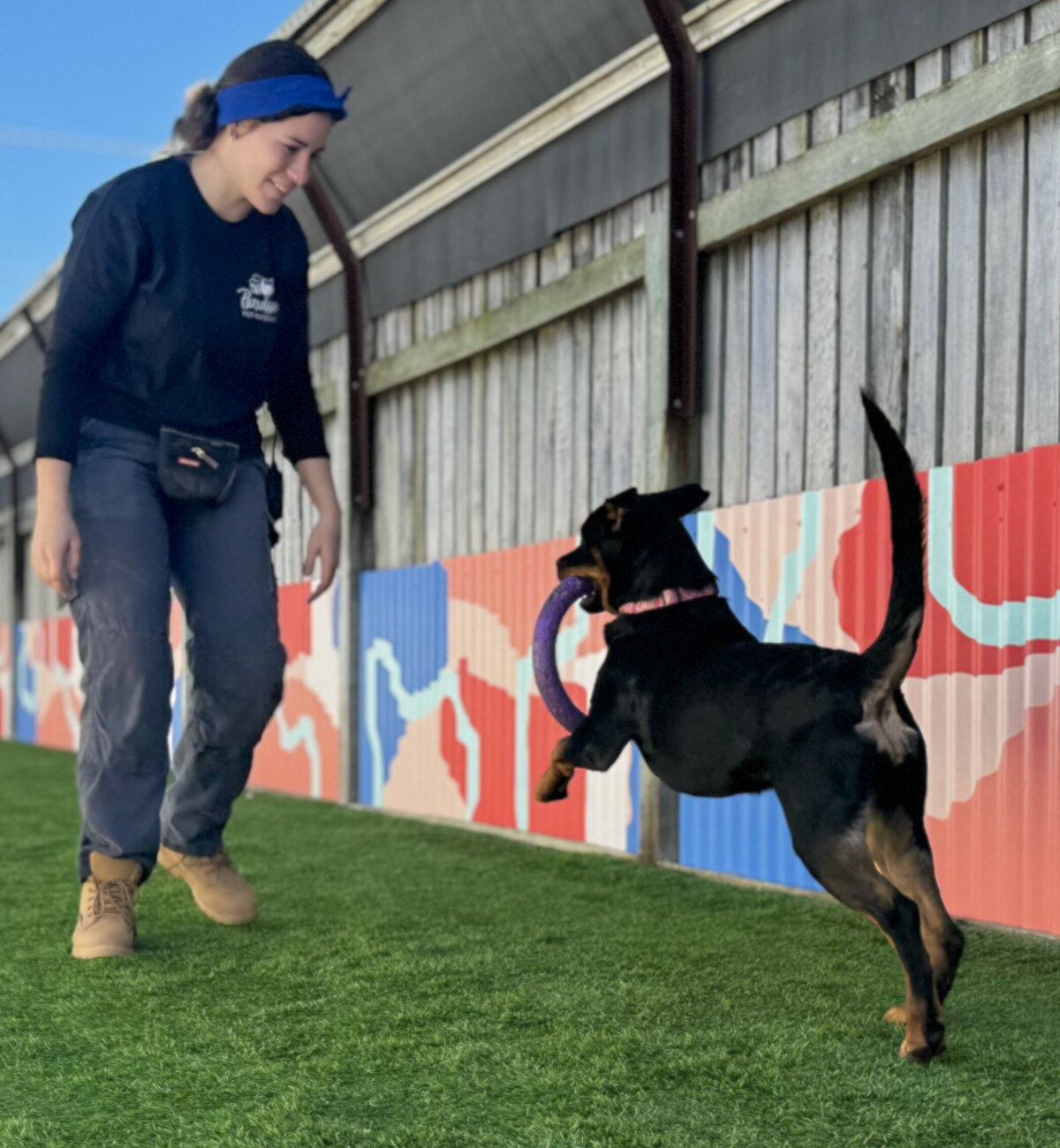 Dog Kennel Toowoomba