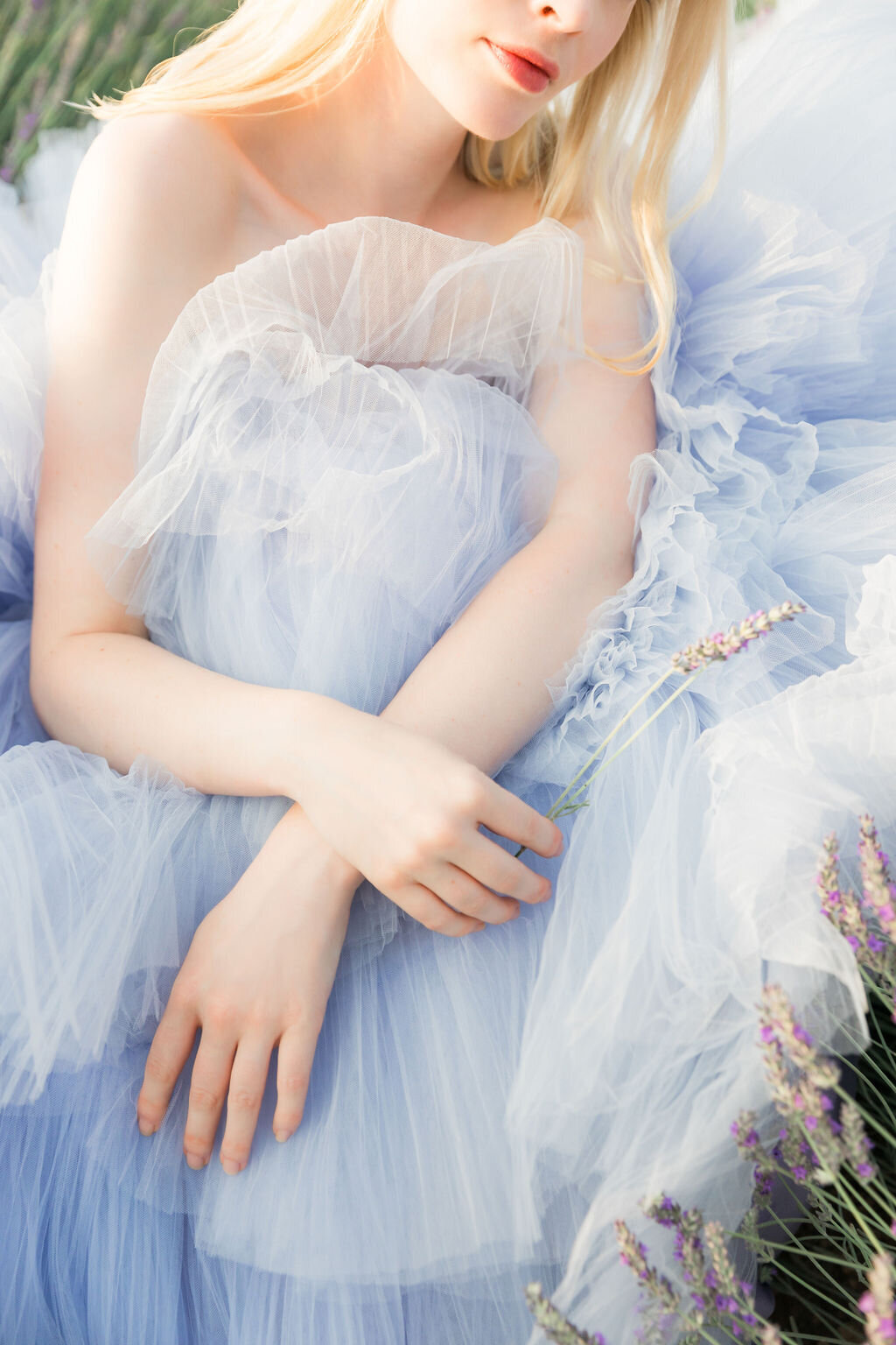 Lavender-Field-Provence-France-Bride-14