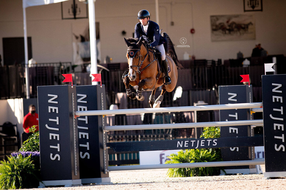MICHIGAN SHOWJUMPING TEAM, SHOWJUMPING HORSES_US EQUESTRIAN TEAM (5)