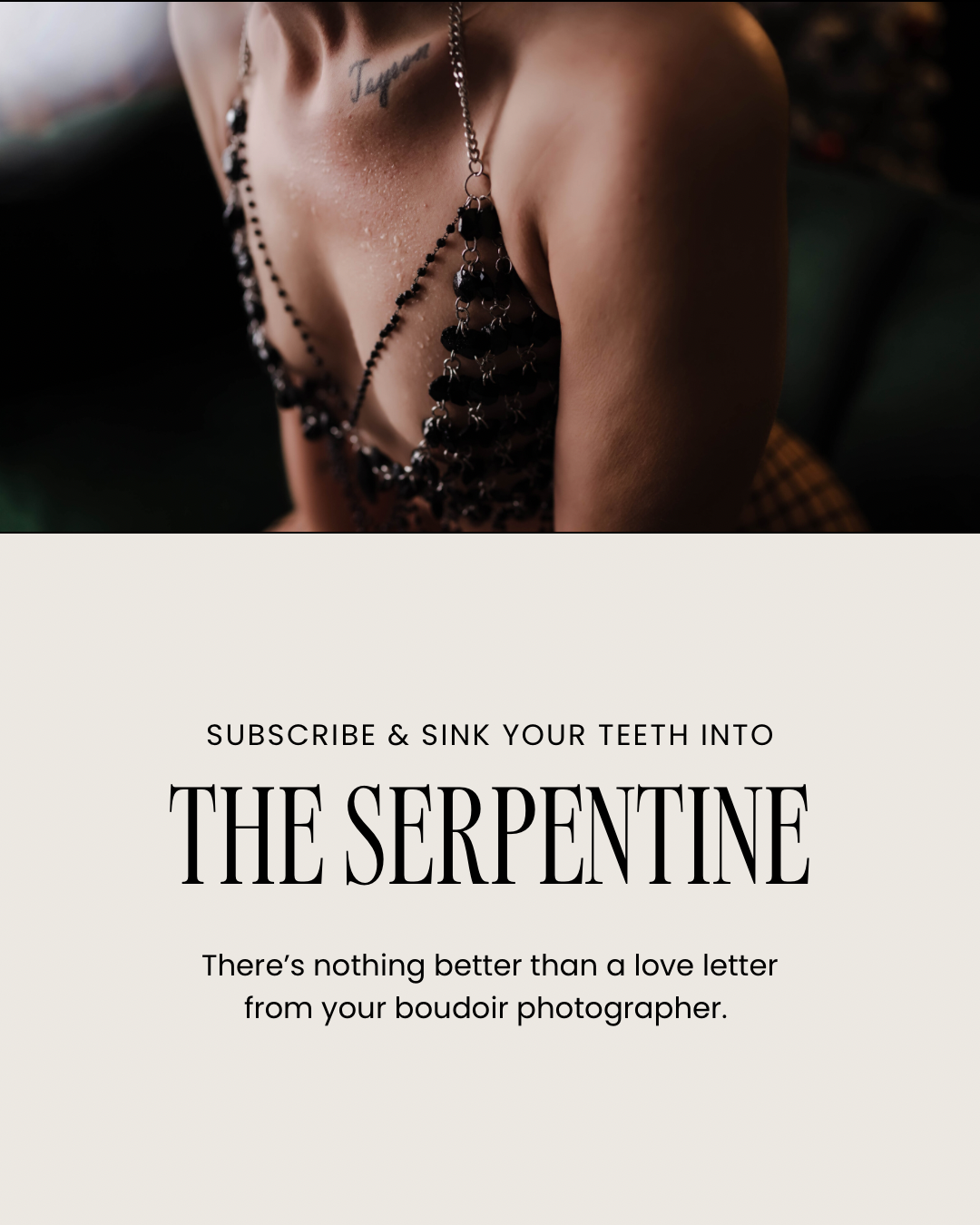 Venoma Artistry Feed Templates (1080 x 1350 px) - 14