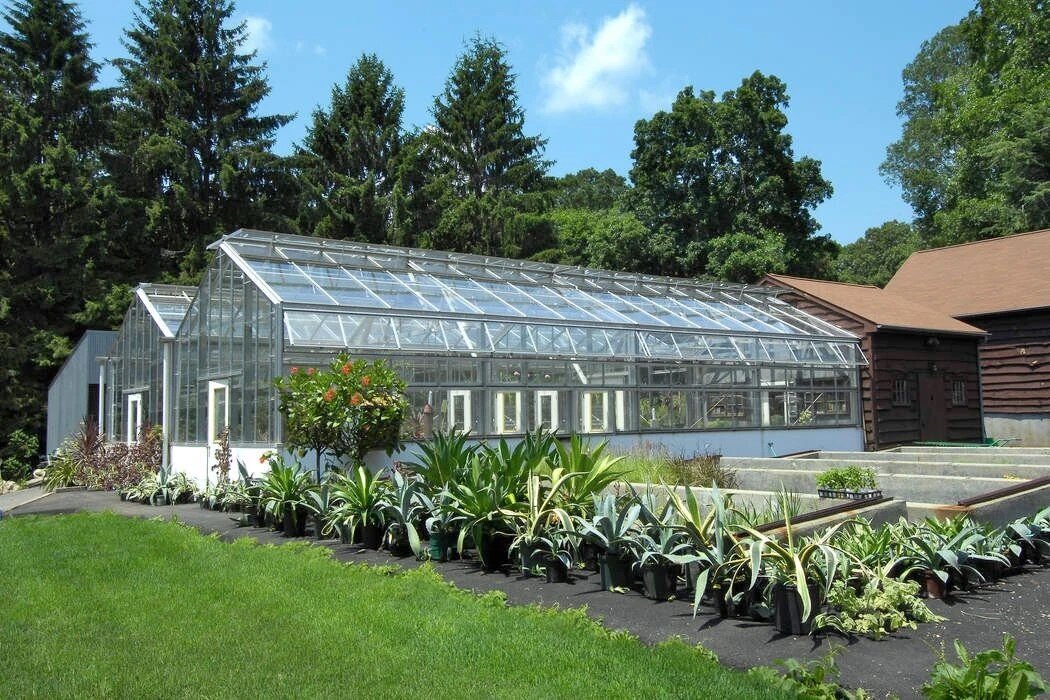 greenhouse-wedding-greenwich-catering-garden