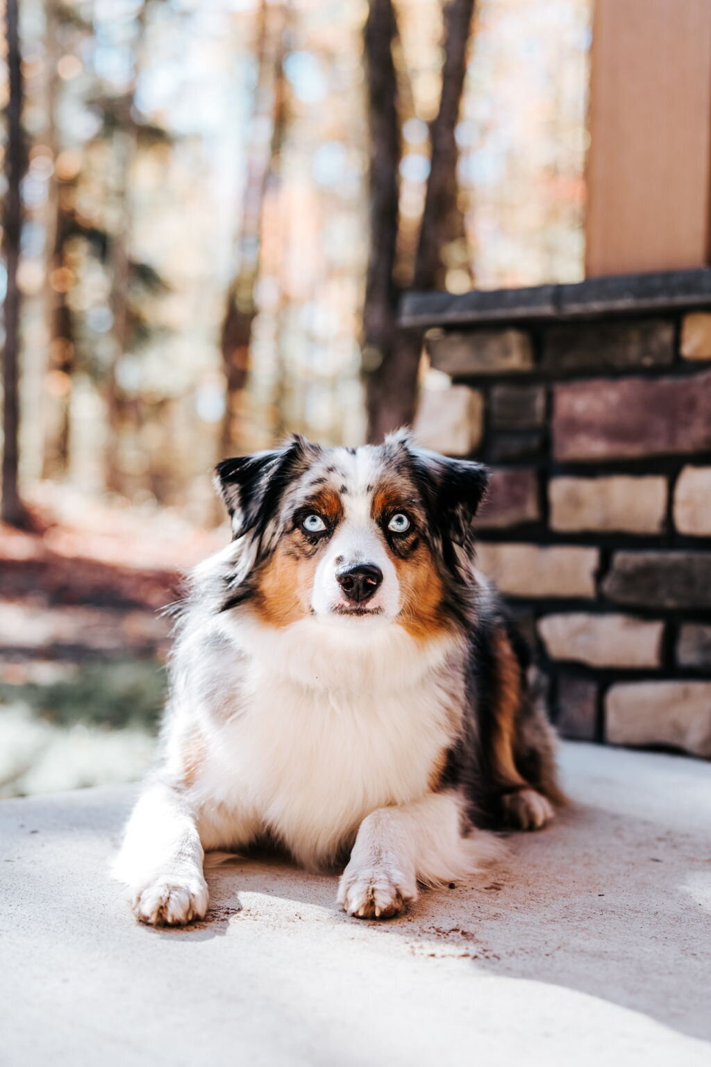 2-web-or-mls-HENRY-3