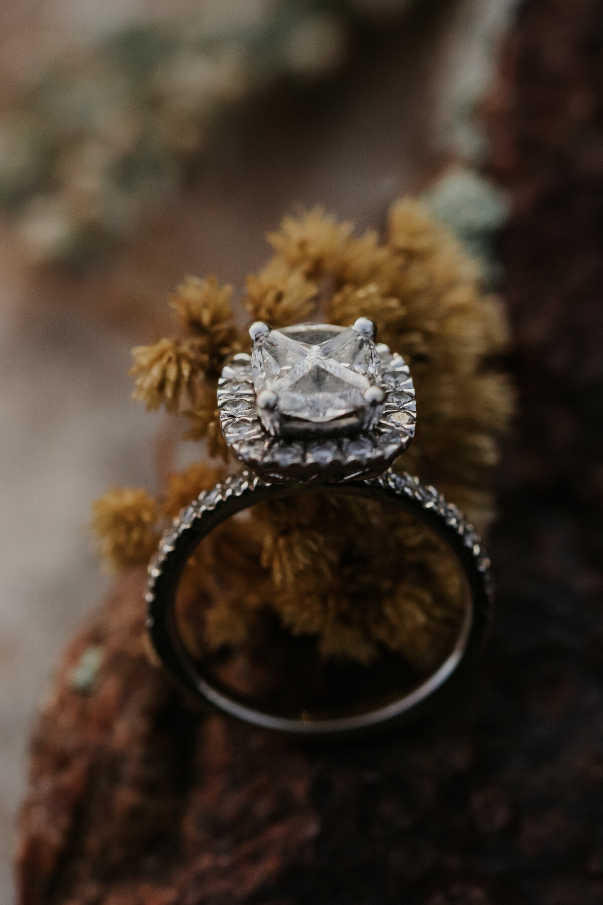 Ranch-Pasture-Country-Alberta-Engagement-51