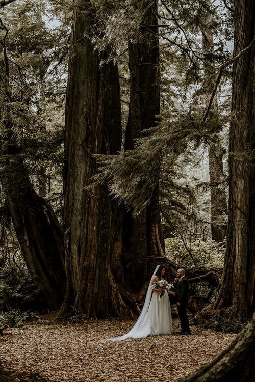 Tofino Wedding Photographer