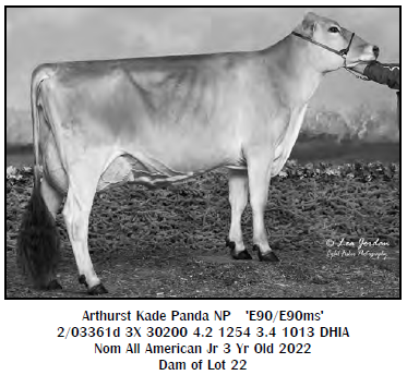 Lot 22 - Dam