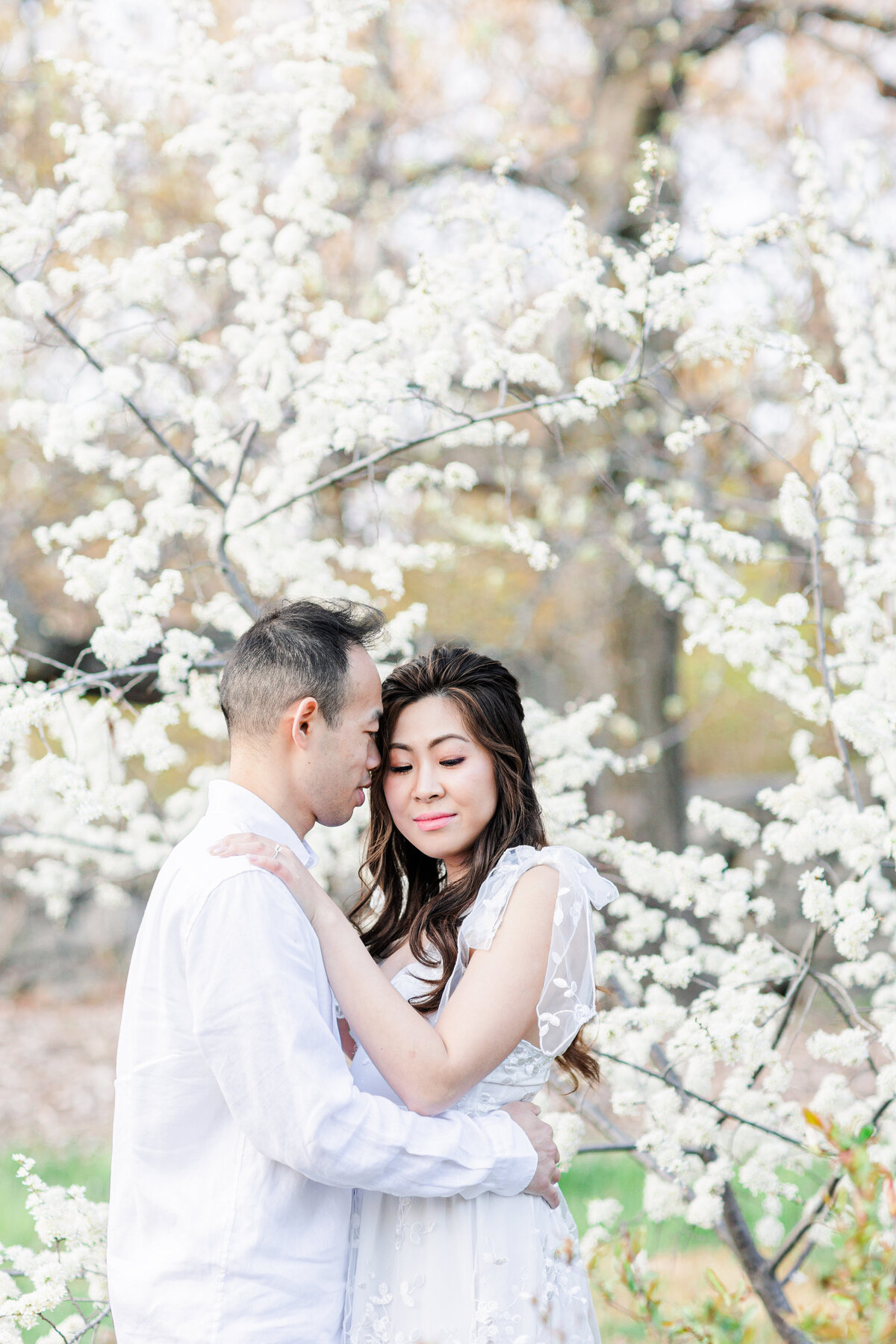 Couple snuggling in front of cherry blossoms representing romantic Boston engagement pictures