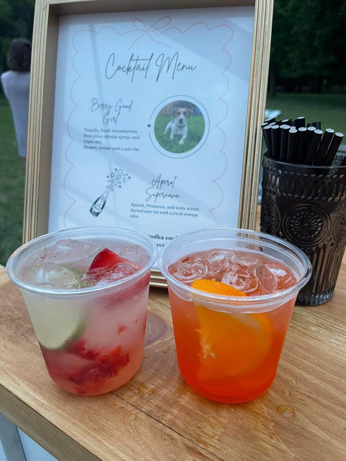 mobile_bar_ontario_hire_bartenders_event_wedding_bachelorette_party (8)