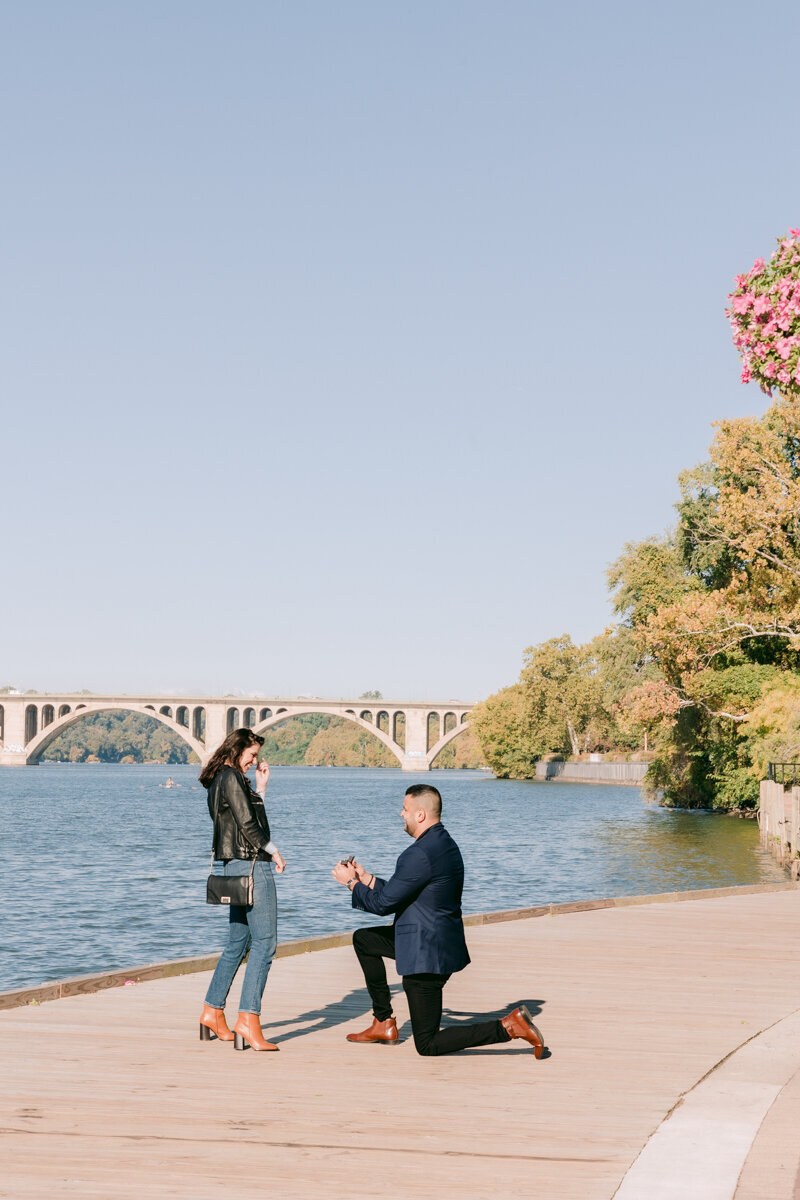 Alaina & Omar Proposal-3
