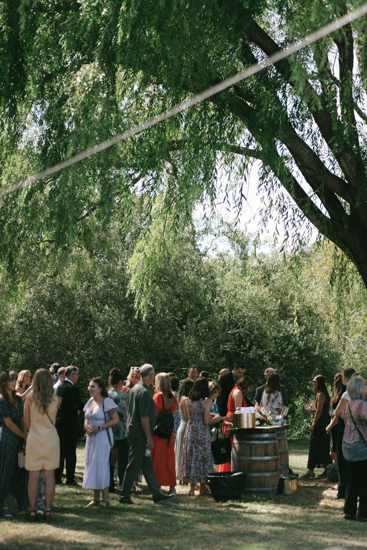 Intimate Wine Country Wedding in Sonoma, California