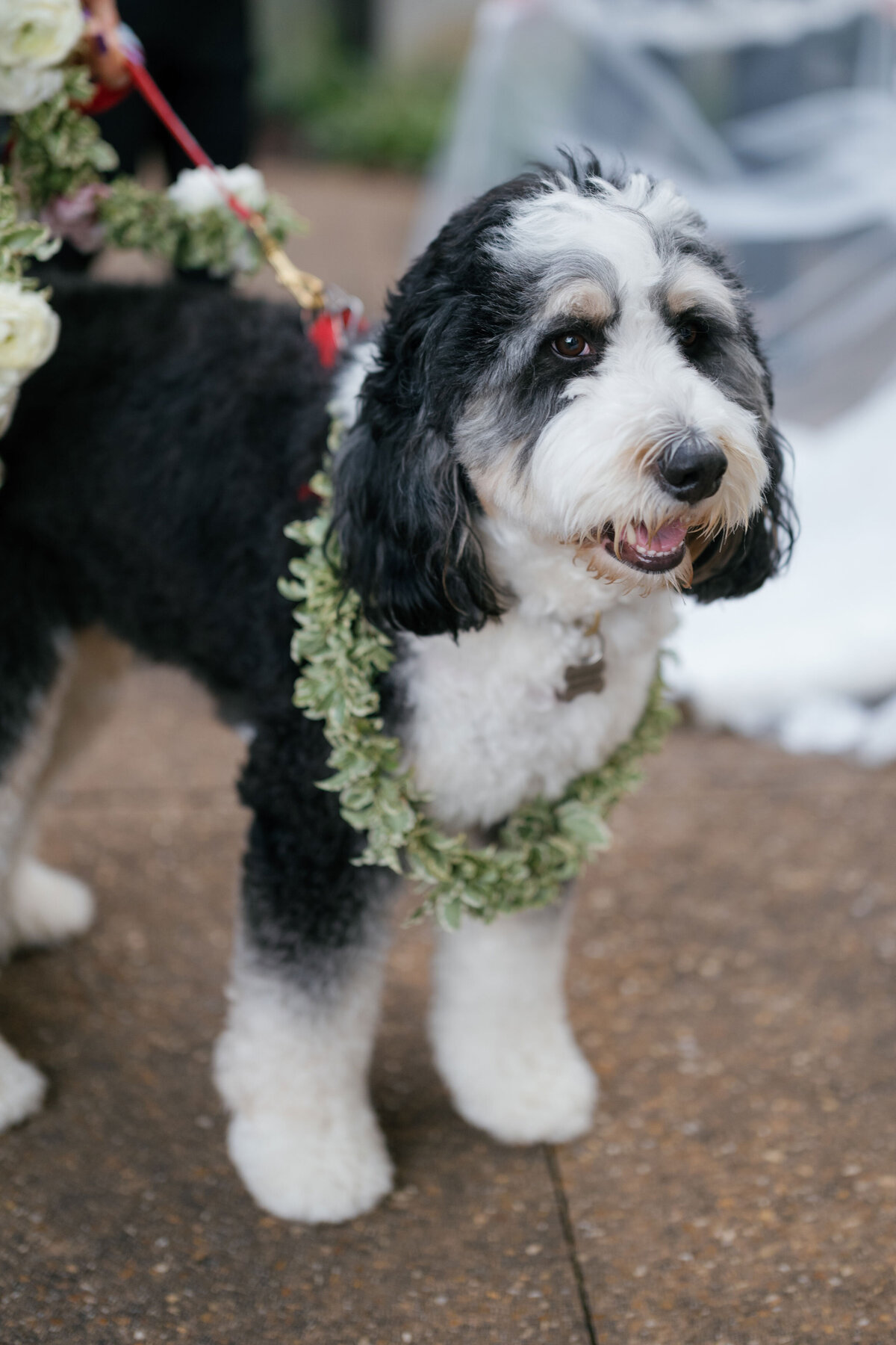 Hotel-Avalon-Wedding_0095