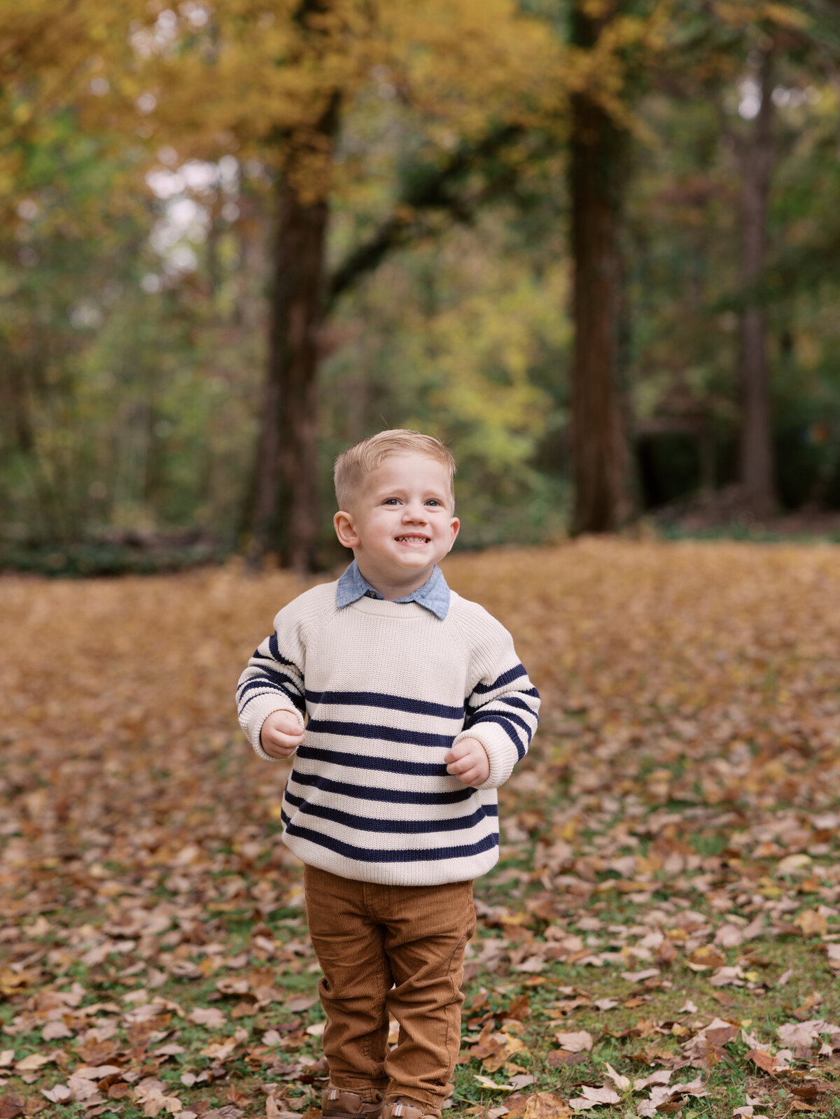 Smith_Mini_Fall_2024_Abigail_Malone_Photography-67
